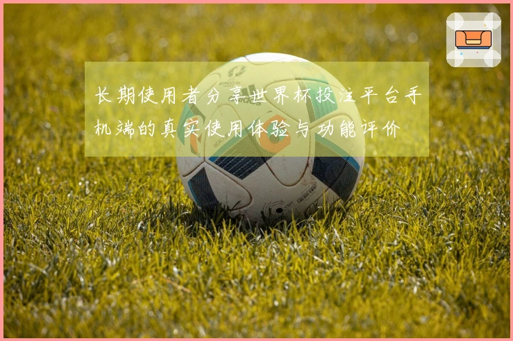 长期使用者分享世界杯投注平台手机端的真实使用体验与功能评价