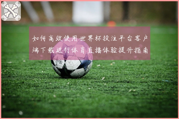如何高效使用世界杯投注平台客户端下载进行体育直播体验提升指南