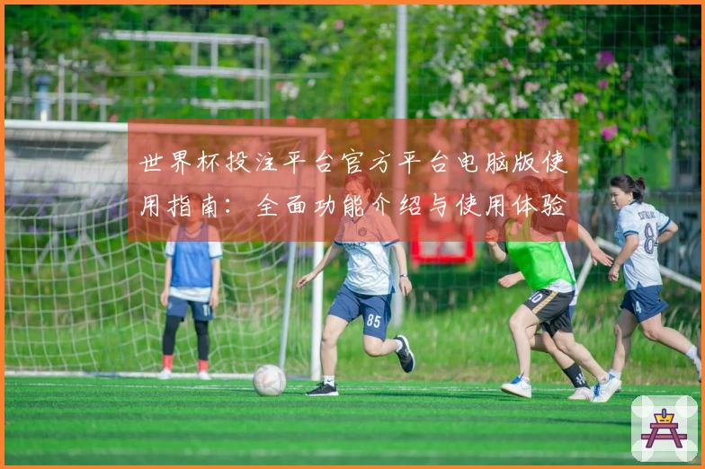 世界杯投注平台官方平台电脑版使用指南：全面功能介绍与使用体验评测