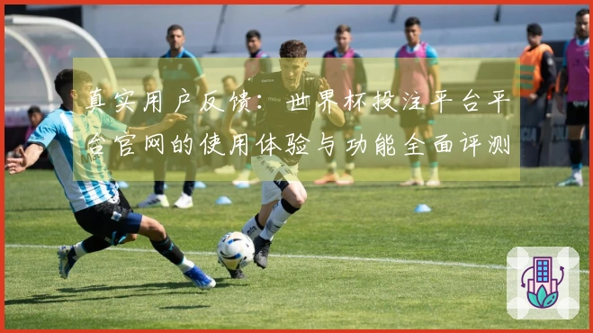 真实用户反馈：世界杯投注平台平台官网的使用体验与功能全面评测