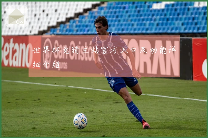 世界杯竞猜主站官方入口及功能详细介绍
