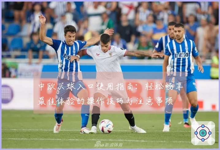 中欧买球入口使用指南:轻松畅享最佳体验的操作技巧与注意事项