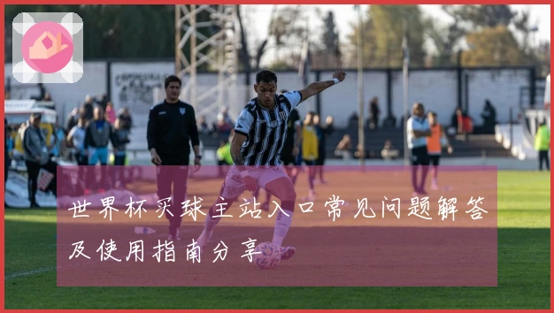 世界杯买球主站入口常见问题解答及使用指南分享