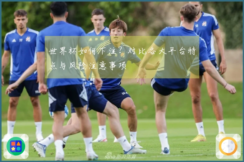 世界杯如何下注？对比各大平台特点与风险注意事项