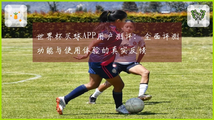 世界杯买球APP用户测评：全面评测功能与使用体验的真实反馈