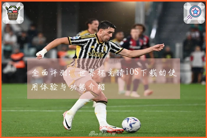全面评测：世界杯竞猜iOS下载的使用体验与功能介绍