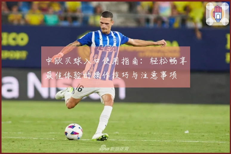 中欧买球入口使用指南：轻松畅享最佳体验的操作技巧与注意事项