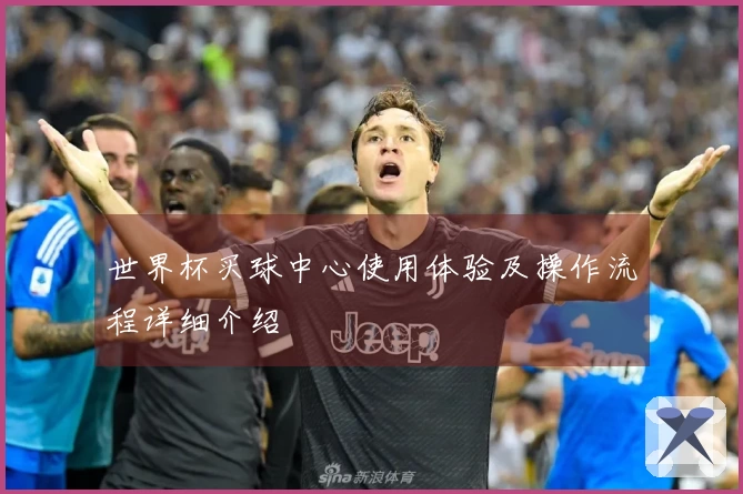 世界杯买球中心使用体验及操作流程详细介绍