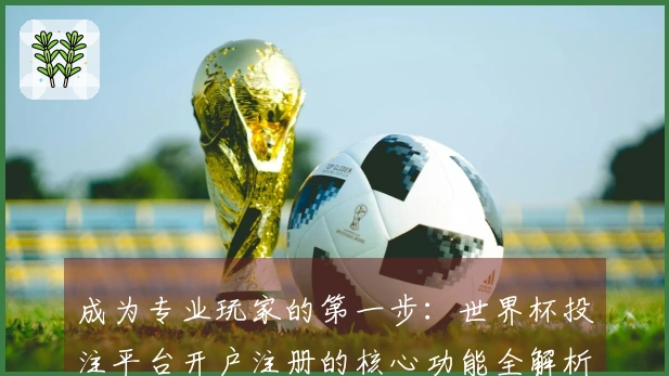 成为专业玩家的第一步：世界杯投注平台开户注册的核心功能全解析