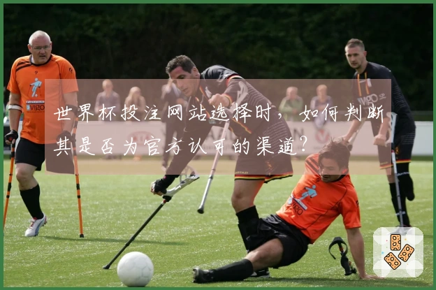世界杯投注网站选择时，如何判断其是否为官方认可的渠道？