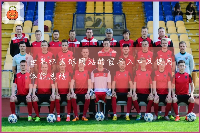 世界杯买球网站的官方入口及使用体验总结