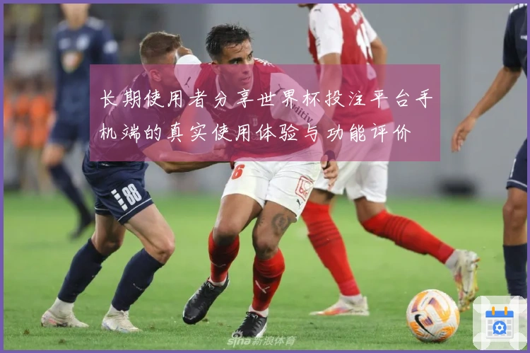 长期使用者分享世界杯投注平台手机端的真实使用体验与功能评价
